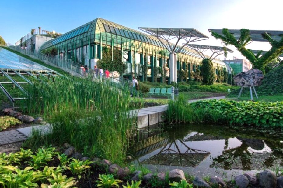 Biblioteka Uniwersytetu Warszawskiego