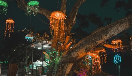Magiczny Botaniczny w Warszawie zapowiedziany