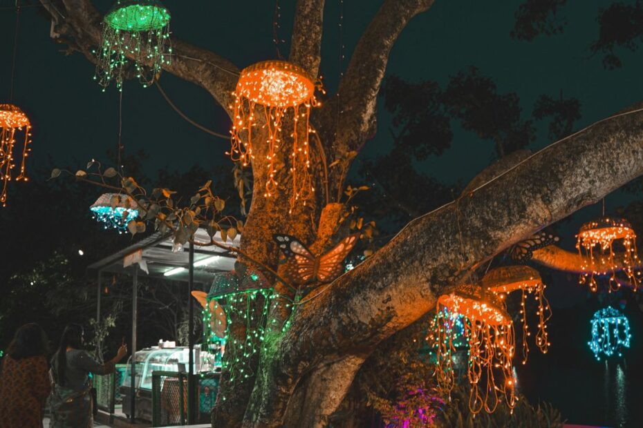 Magiczny Botaniczny w Warszawie zapowiedziany