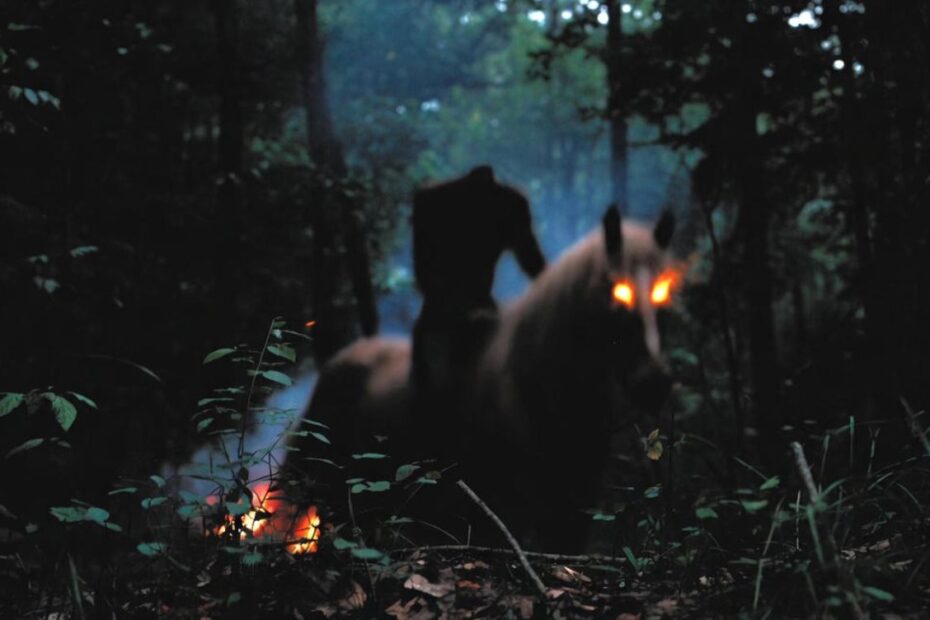 Kim jest Dullahan w mitologii celtyckiej?